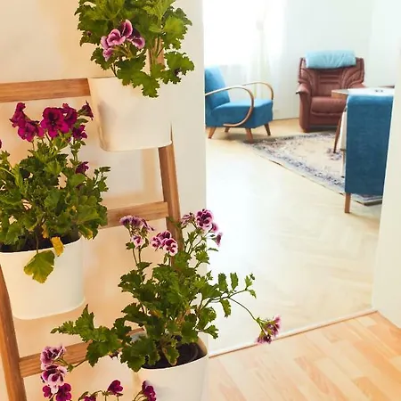 Vila Ana Apartman Uherský Brod
