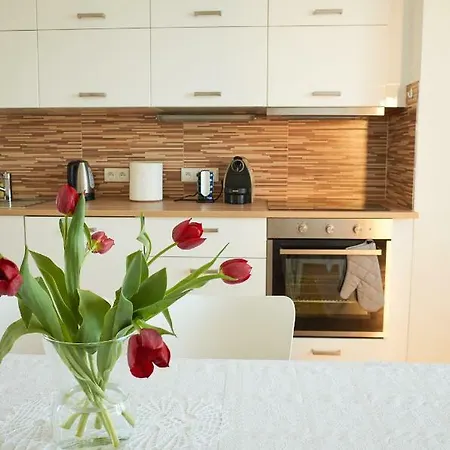 Vila Ana Uherský Brod