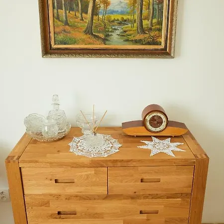 Apartman Vila Ana *